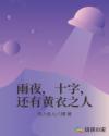 雨夜，十字，还有黄衣之人章节列表