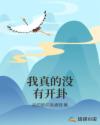 我真的没有开卦章节列表