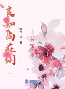 良知尚在侧章节列表