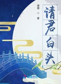 请君白头章节列表