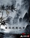 蒙蔽还是迷雾章节列表