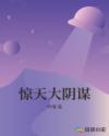 惊天大阴谋章节列表