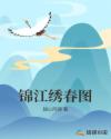 锦江绣春图章节列表