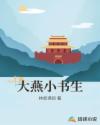 大燕小书生章节列表