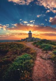 送你一道曙光章节列表