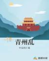 青州乱章节列表