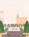 青春期的自传章节列表