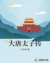 大唐太子传章节列表