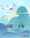 清游二十年章节列表