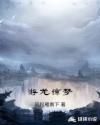 游龙惊梦章节列表