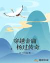 穿越金庸，杨过传奇章节列表
