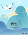 紫焽章节列表