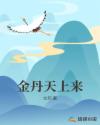 金丹天上来章节列表