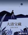 大清宝藏章节列表