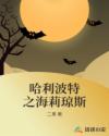 哈利波特之海莉琼斯章节列表