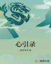 心引录章节列表