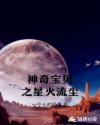 神奇宝贝之星火流尘章节列表