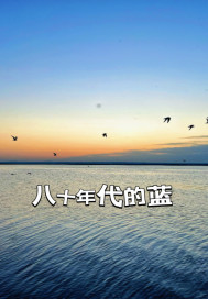 八十年代的蓝章节列表