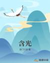 含光章节列表