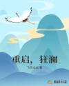 重启，狂澜章节列表