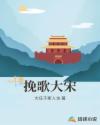 挽歌大宋章节列表