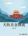 大钦差金博虎章节列表