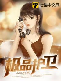 极品护卫章节列表