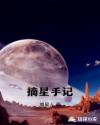 摘星手记章节列表
