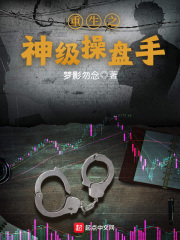 重生之神级操盘手章节列表
