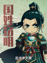 国姓窃明章节列表