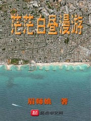 茫茫白昼漫游章节列表