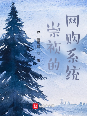 崇祯的网购系统章节列表