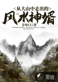 从大山中走出的风水神婿章节列表