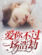 爱你不过一场浩劫乔笙陆廷渊章节列表