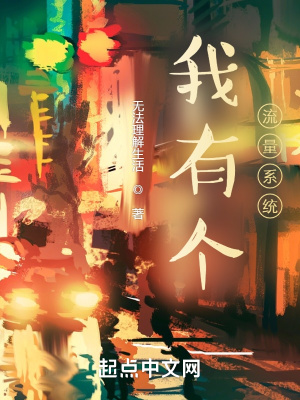 我有个流量系统章节列表