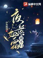 夜落如霜胡不归章节列表