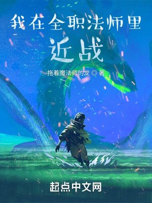 我在全职法师里近战章节列表