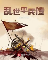 乱世平民传章节列表