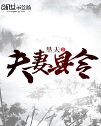 夫妻县令章节列表