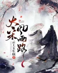 大宋风雨路章节列表