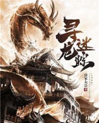 寻龙迷踪章节列表