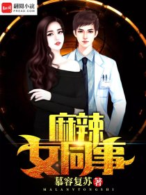 麻辣女同事章节列表