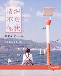 情深不负你我章节列表