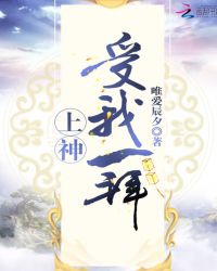 上神受我一拜章节列表