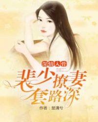 深情入骨：裴少撩妻套路深章节列表