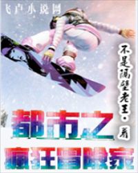都市之疯狂冒险家章节列表