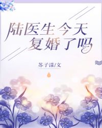 陆医生今天复婚了吗章节列表