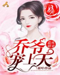 惹火娇妻：乔爷，宠上天章节列表