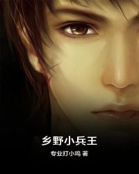 乡野小兵王章节列表