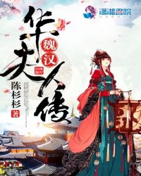 魏汉华夫人传章节列表